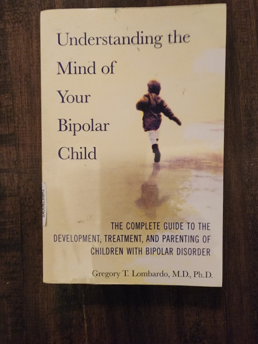 Understanding the Mind of Your Bipolar Child